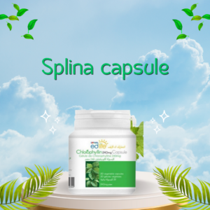 SPLINA CAPSULE